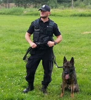 Policyjny przewodnik z psem tropiącym - owczarkiem niemieckim o imieniu Vox