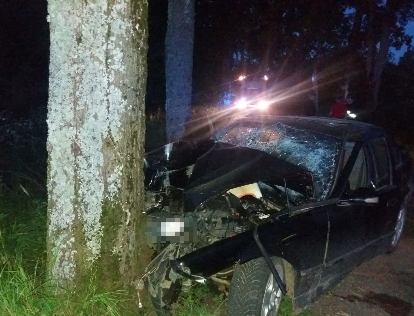 Pojazd marki BMW, który przodem uderzył w drzewo