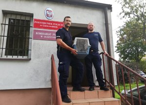 policjanci z uratowanym kotem
