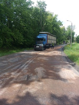 dwa pojazdy jeden osobowy drugi ciężarowy stojące do siebie przodem, w tle las