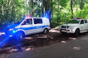 Policyjny radiowóz i radiowóz Straży Leśnej zaparkowane na parkingu w lesie