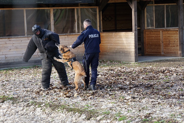 Szkolenie psów służbowych