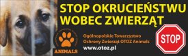Okrucieństwo wobec zwierząt
