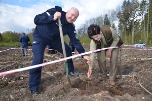 Akcja sadzenia drzewek