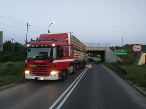 Miejsce zdarzenia drogowego