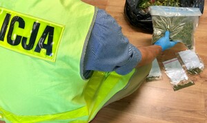 Zabezpieczone narkotyki