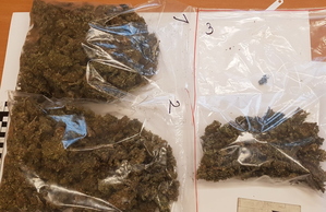 Zabezpieczona marihuana