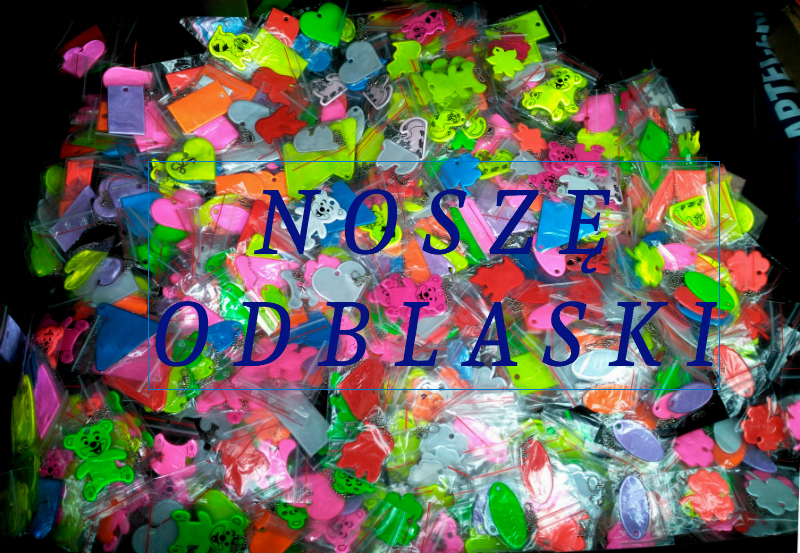 Spotkanie z policjantką