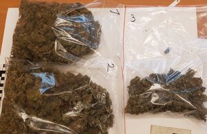 Zabezpieczone narkotyki