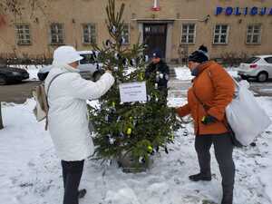 "Odblaskowa choinka" w Mrągowie
