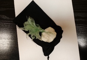 Zabezpieczony narkotyk