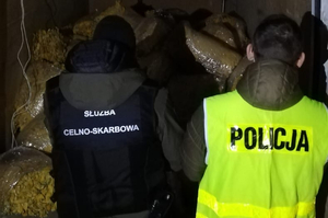 Zabezpieczona krajanka