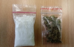 Dwa foliowe woreczki - jeden z substancją koloru białego, drugi z suszem roślinnym