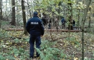 Ilustracja do tekstu -policjanci w lesie poszukujący zaginionego