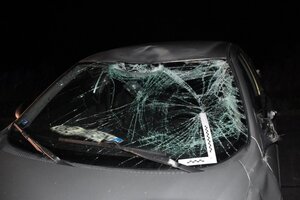 Pojazd biorący udział w zderzeniu z łosiem