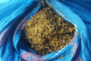 Zabezpieczony tytoń w worku