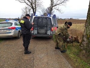 policja, straż graniczna, pies, zatrzymany, radiowozy, pole