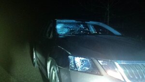 Auto z rozbitą szybą po uderzeniu w pieszego