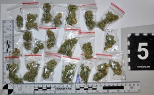 Zabezpieczone narkotyki