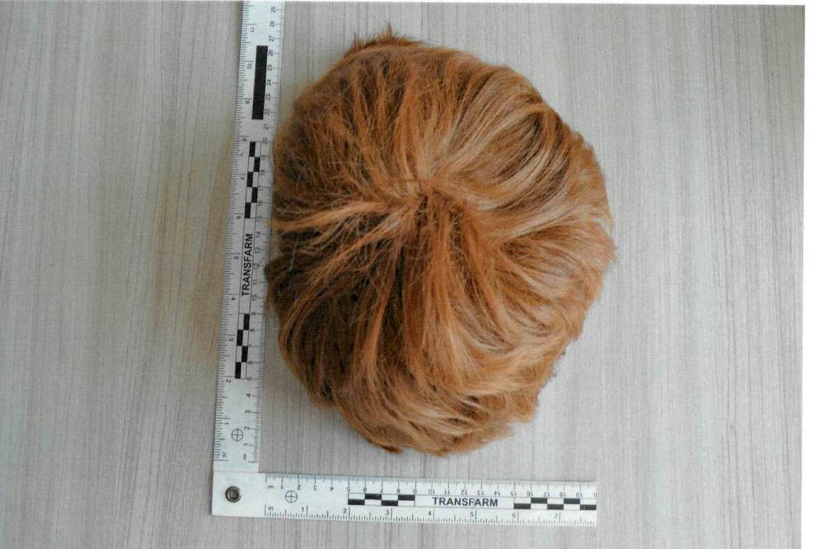 zabezpieczona peruka