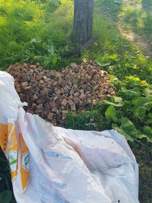 zabezpieczony trotyl