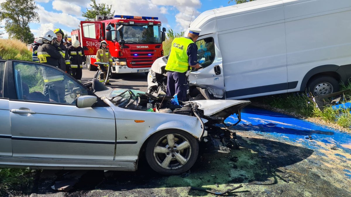służby pracujące na miejscu wypadku
