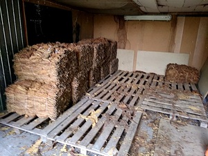 Tytoń leżący w garażu