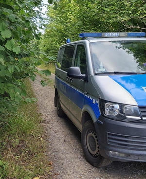 służby podczas poszukiwań