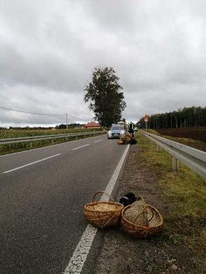 miejsce zdarzenia drogowego