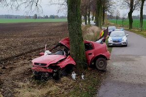 Rozbity samochód przy drzewie, obok radiowóz
