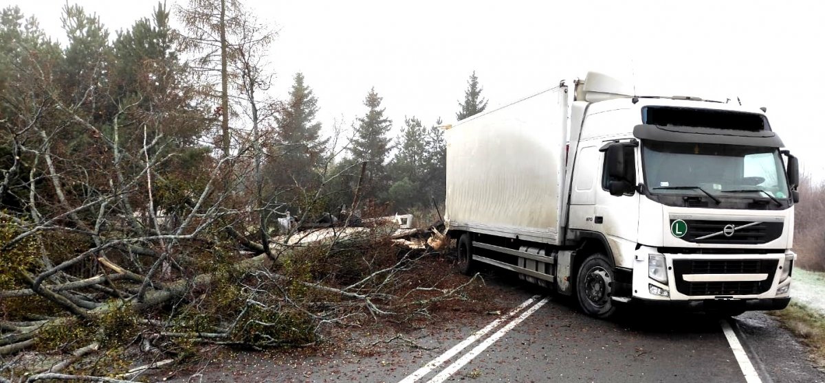 Na zdjęciu widać na drodze połamane drzewa i obok stoi pojazd ciężarowy koloru białego