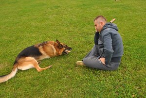 Na zdjęciu leży pies na trawie obok siedzi mężczyzna trzymając kija w ręku