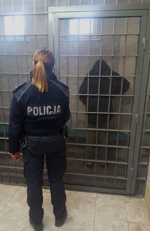 Policjantka stojąca przed kratą, za kratą zatrzymany mężczyzna