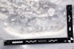 Odcisk buta pozostawiony na śniegu