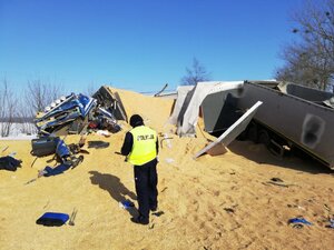 Rozbity samochód ciężarowy i rozsypane zboże i trociny, przed nim stoi policjant