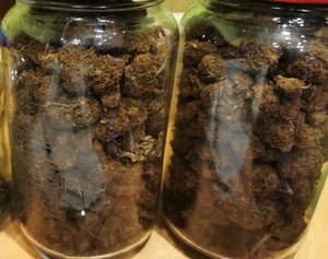 zabezpieczone słoiki z marihuaną