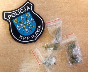 zabezpieczone narkotyki