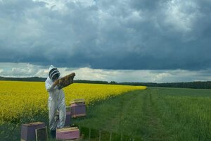 Policjant w stroju pszczelarza przy ulu