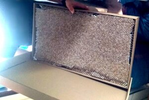 Zabezpieczone papierosy w kartonie