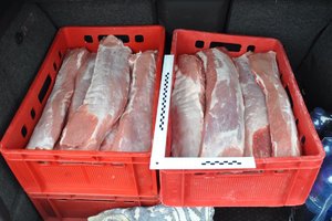 Mięso w skrzynkach wstawione do bagażnika auta