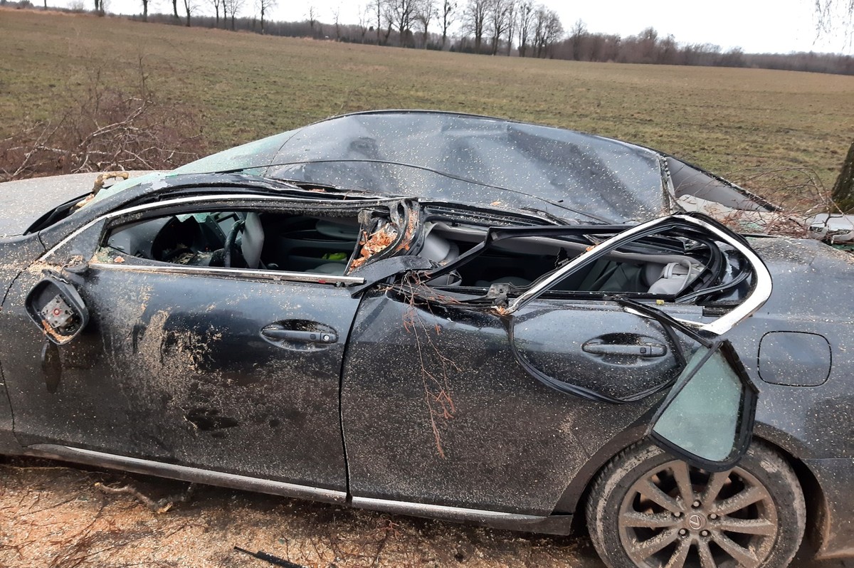 Samochód uszkodzony przez drzewo stojący na drodze.