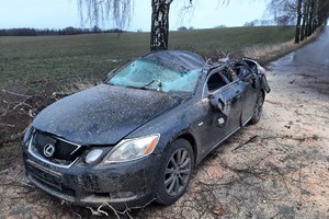 Samochód uszkodzony przez drzewo stojący na drodze.