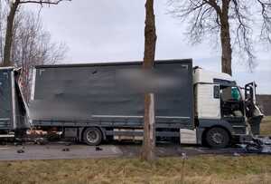 tir uderzył w drzewo