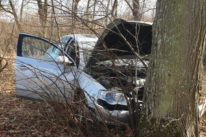 pojazd który uderzył w drzewo