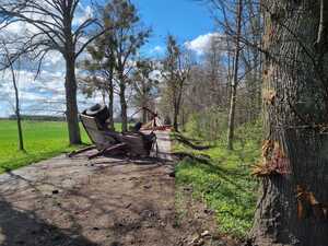 Drewno, które po zdarzeniu drogowym wysypało się na drogę