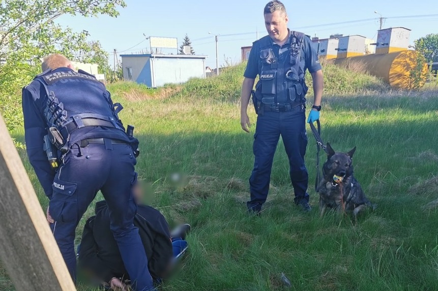 Mężczyzna zatrzymany przez policjantów, który leży na trawie, a obok niego są policjanci oraz policyjny pies