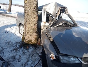 uszkodzone w wyniku uderzenia w drzewo auto