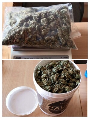 Zabezpieczona marihuna