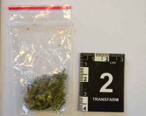 Zabezpieczona marihuana