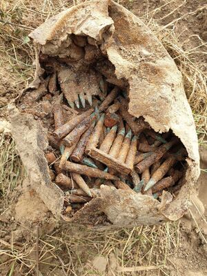 Zabezpieczone pociski